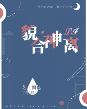 貌合神离的意思