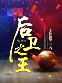 nba之后卫之王