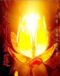 火中金莲三七中文网