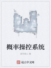 概率系统程序