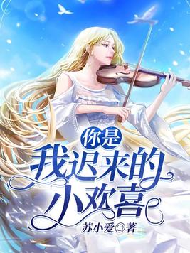 你是我迟来的欢喜小说免费阅读