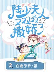 陆北辰白晚晚小说免费阅读名字