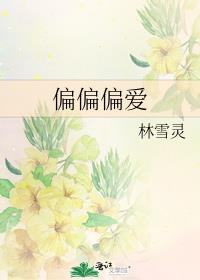 偏偏偏爱你小说