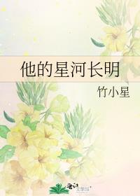 他的星河长明小说全文免费阅读