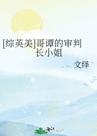 哥谭的审判长小说