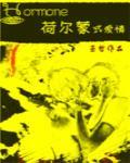 荷尔蒙式爱情主角是谁