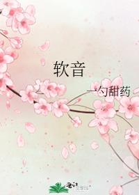 软音源和硬音源区别