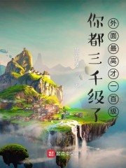 外面最高才一百级等级划分