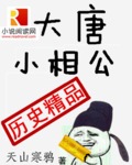 大唐小相公全文免费阅读