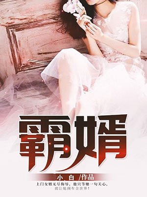 上门女婿陈浩