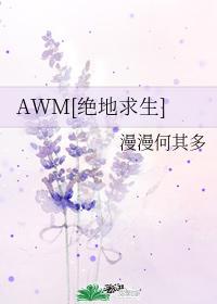 awm绝地求生讲什么内容